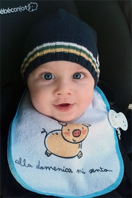 image rimpicciolita.jpeg