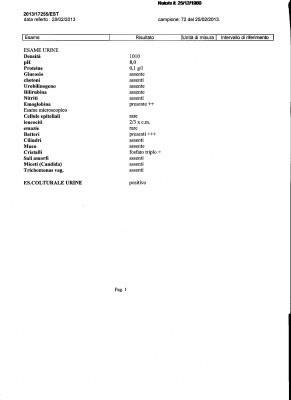 esito urine 001.jpg