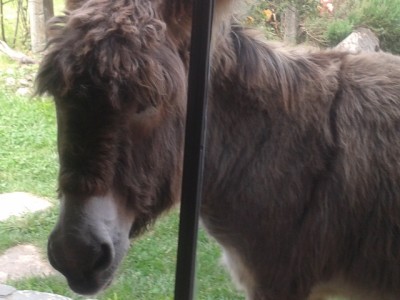 2013-05-15 10.34.28.jpg