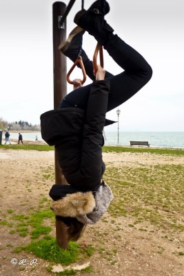 P1110441 [800x600].jpg