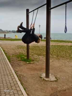 P1110434 [800x600].jpg