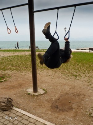 P1110433 [800x600].jpg