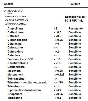 15_3.JPG (57.25 KiB) Osservato 2598 volte 15_3.JPG