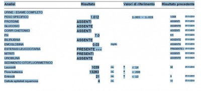 21_3.JPG (55.71 KiB) Osservato 2590 volte 21_3.JPG