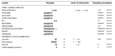 09_04.JPG (52.14 KiB) Osservato 2587 volte 09_04.JPG