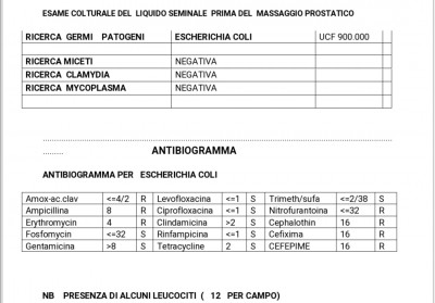 inbound6510760321365281295.jpg (179.86 KiB) Osservato 5142 volte inbound6510760321365281295.jpg