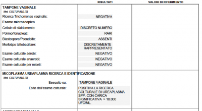 Schermata 2020-11-16 alle 16.09.21.png