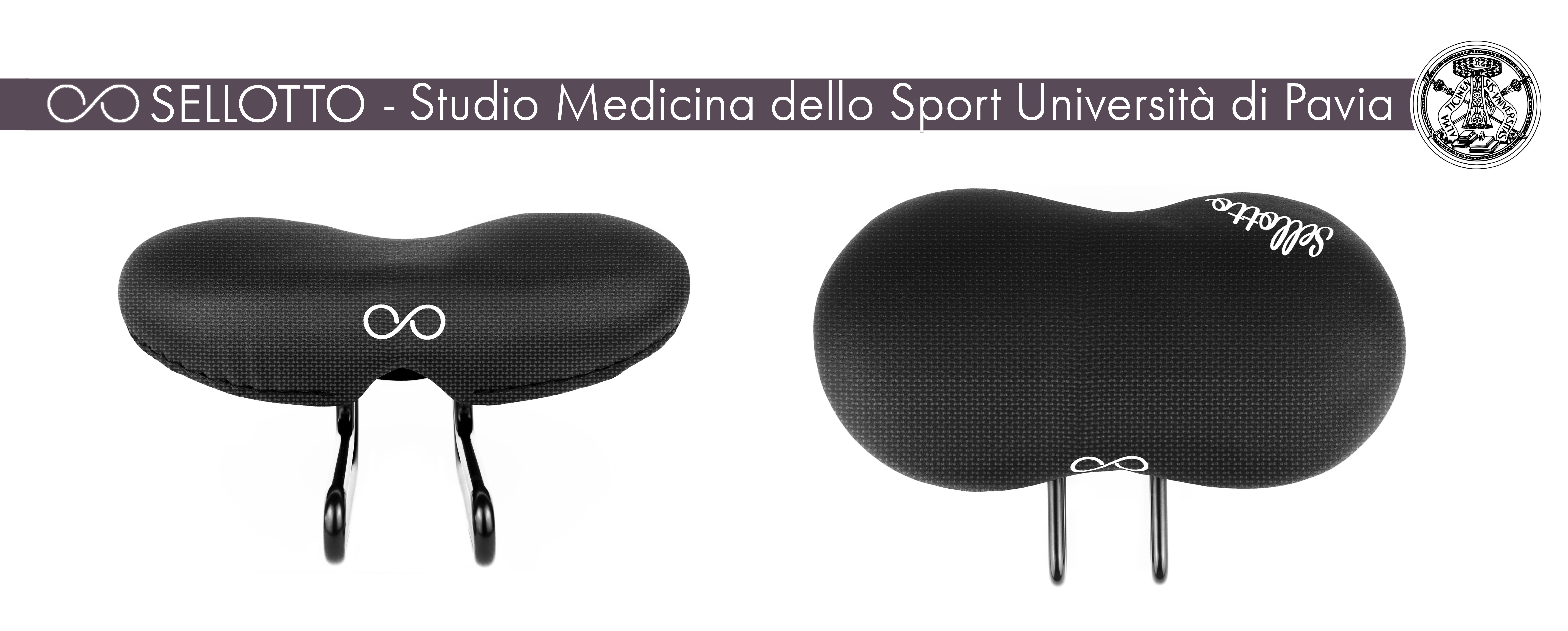 201202 Sellotto Pavia figure