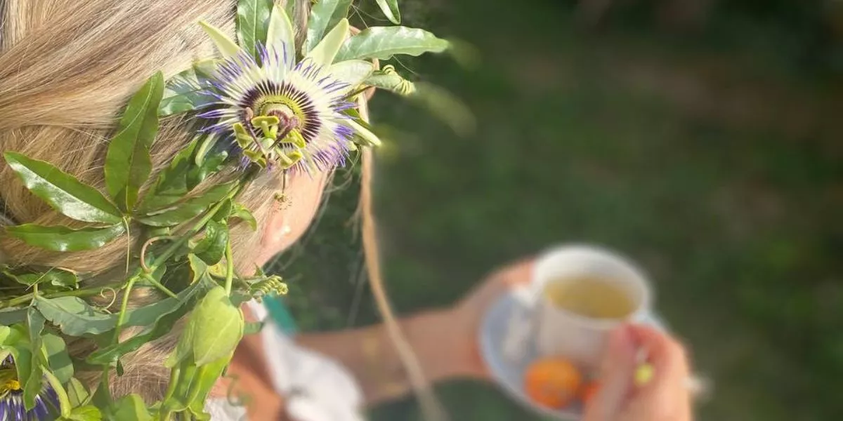 Menopausa i cavalloni ormoniali