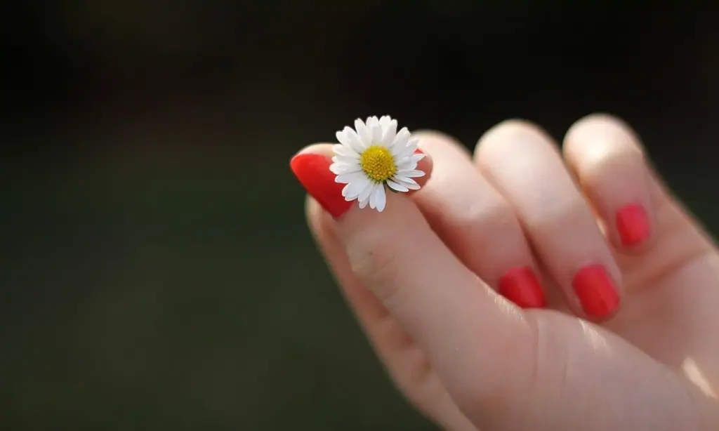 Dita per manovra del dito o lavaggio uretrale