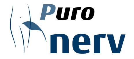 Purnerv