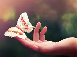 3° convegno vulvodinia