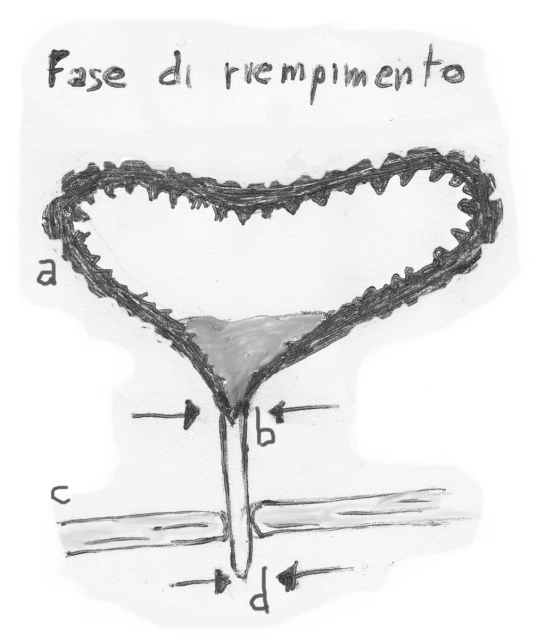 Vescica: fase riempimento