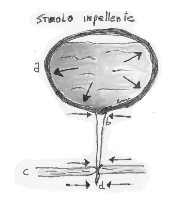 stimolo impellente